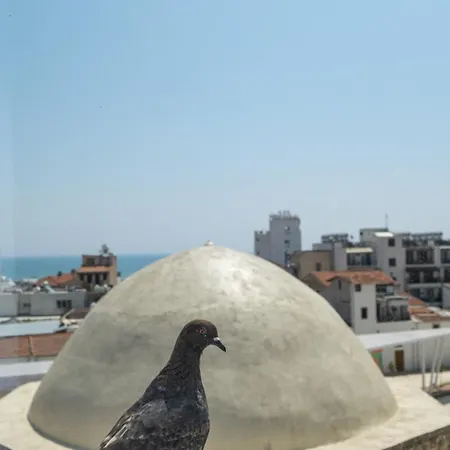 Livadhiotis Hotel Larnaca