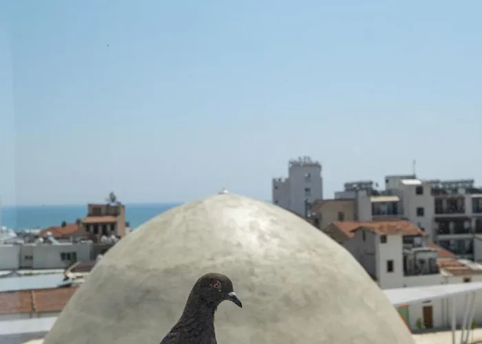 Livadhiotis Hotell Larnaca