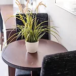 里瓦西奥迪斯城市酒店 拉纳卡